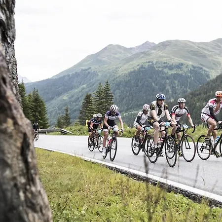 Arlmont 4 Stern Superior