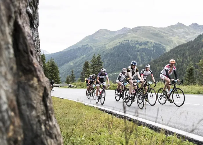 Arlmont 4 Stern Superior